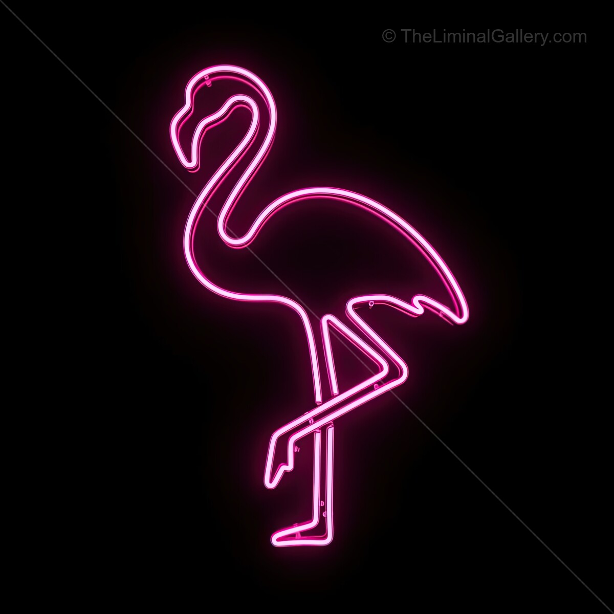 Bright pink flamingo neon sign lights up a dark wall, adding a whimsical touch to the urban setting at night in an artistic hangout
