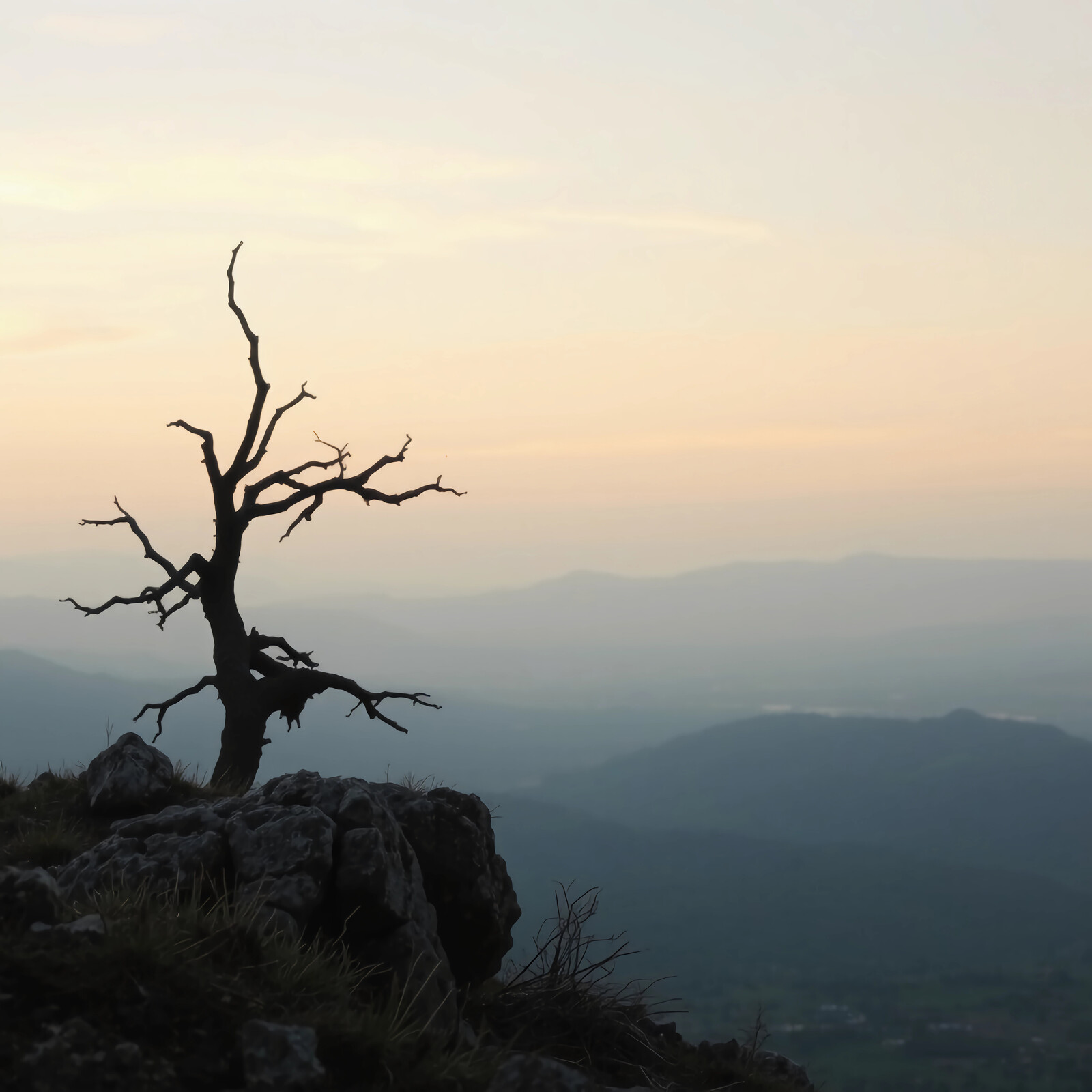 Dramatic silhouette of a barren tree against a tranquil sunset in the mountains