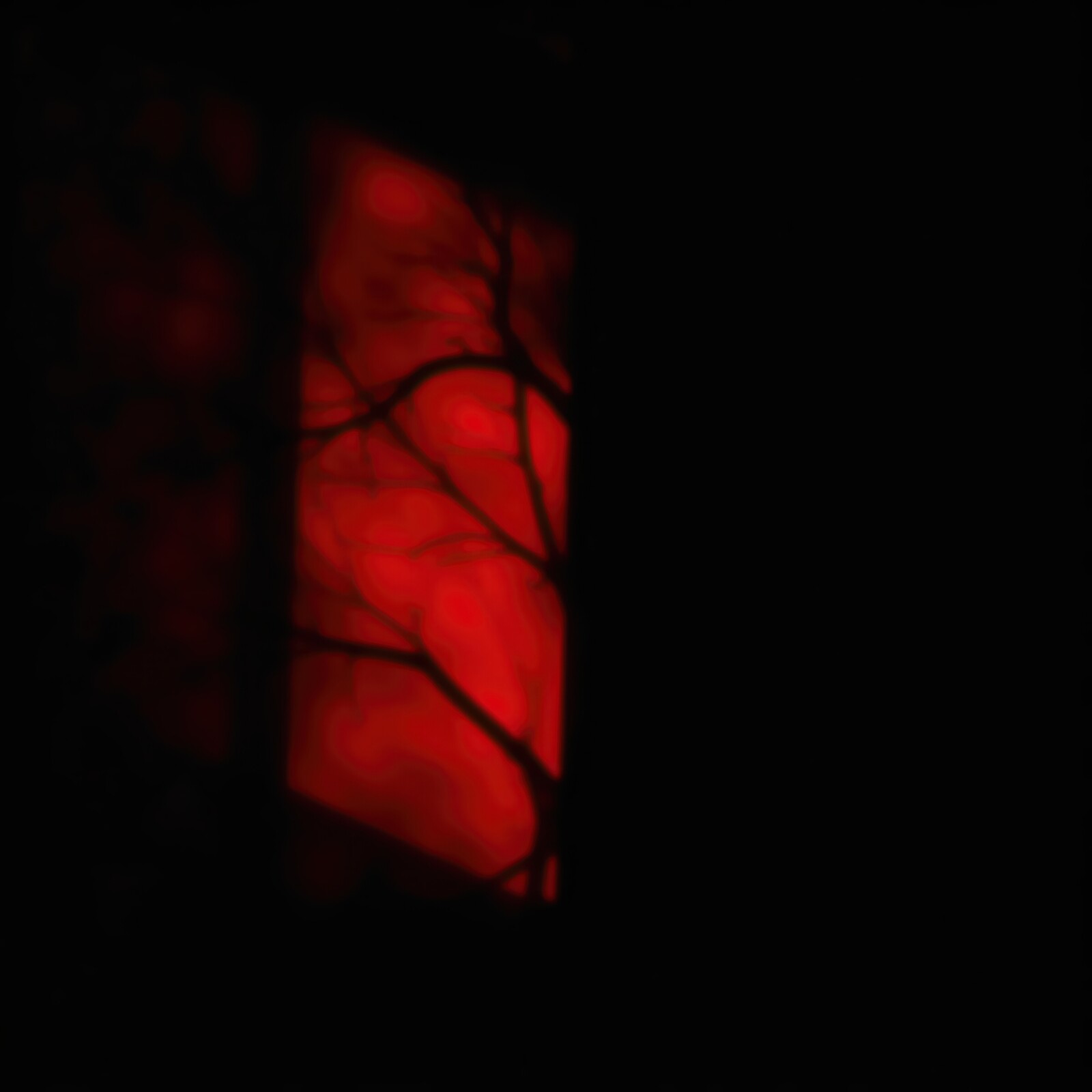 Dark night illuminated by eerie red light and shadowy tree branches outside the window