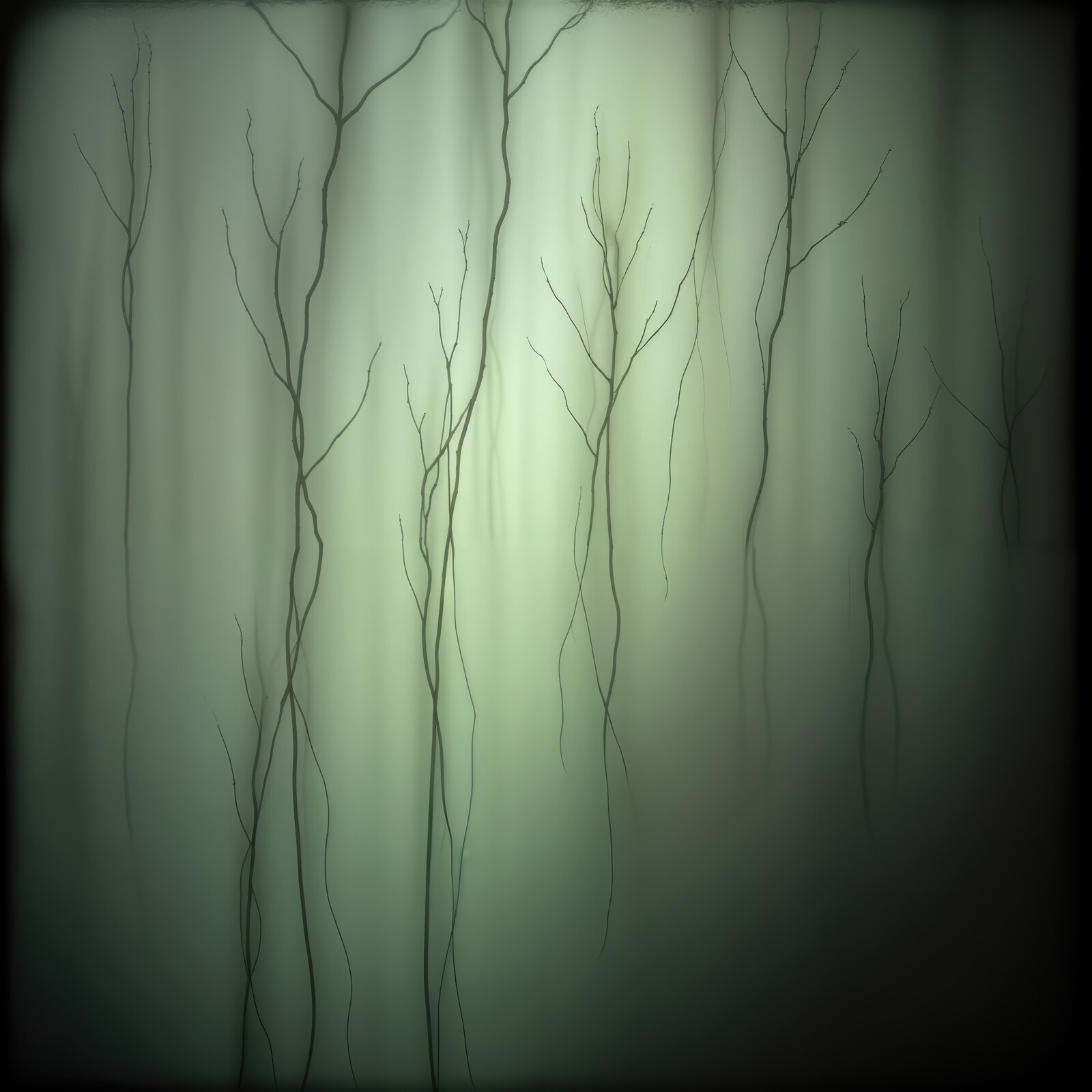 Ethereal forest with delicate branches casting shadows in soft green light
