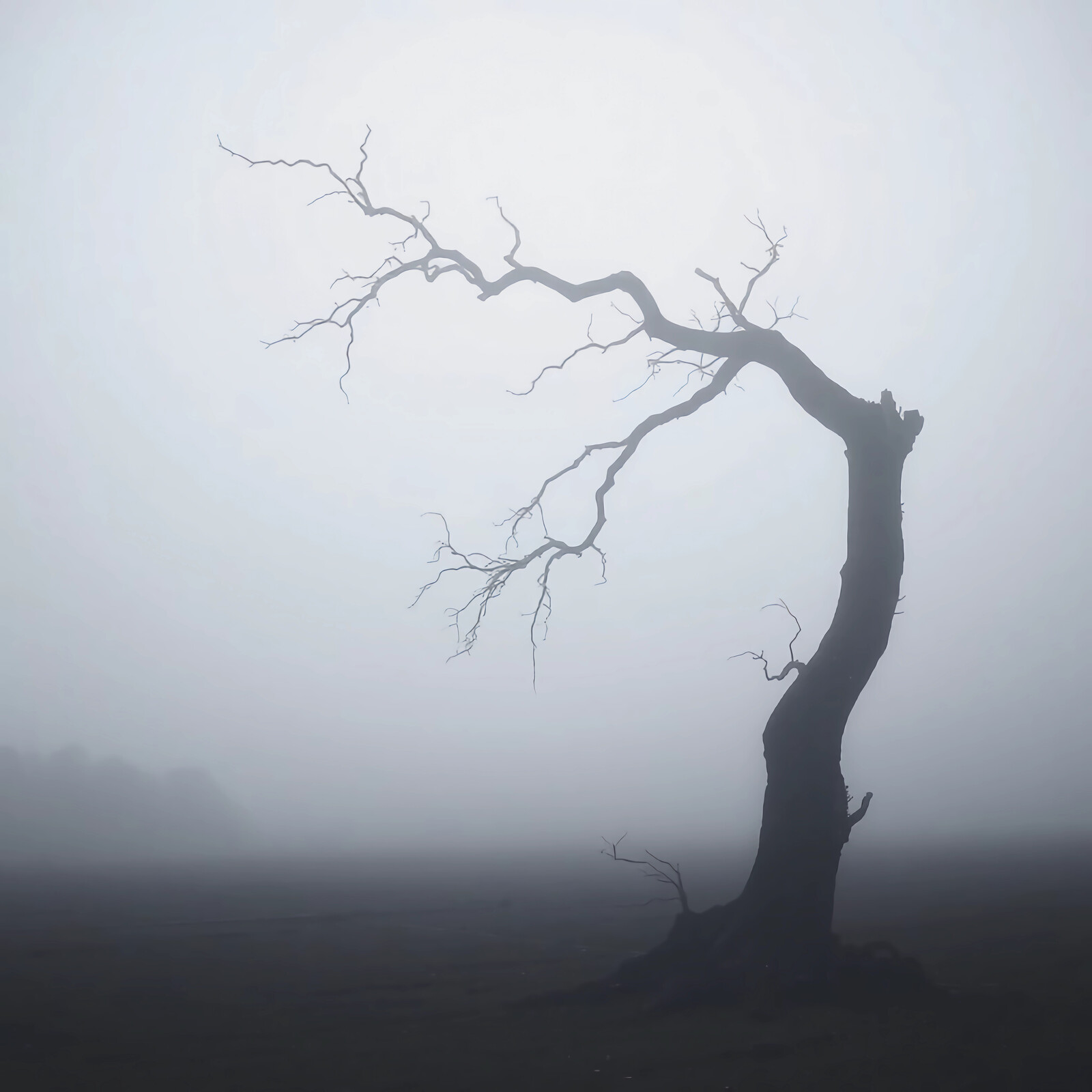 Lonely tree stands tall amidst a mysterious fog in an ethereal landscape