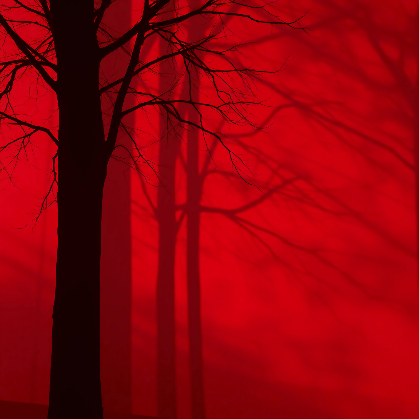 Shadows dance eerily against a crimson backdrop under the haunting glow of dusk in a secluded forest
