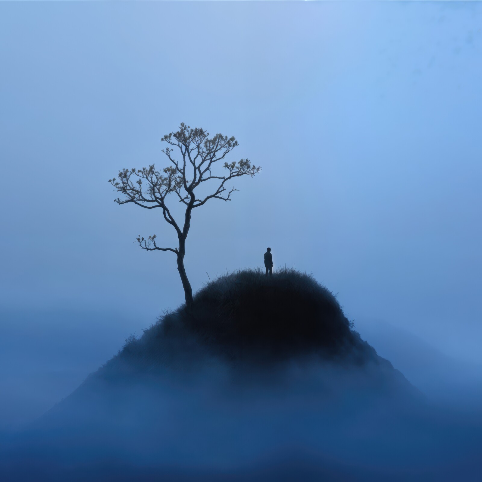 Solitary figure gazes at the horizon from a misty hilltop under a blanket of twilight