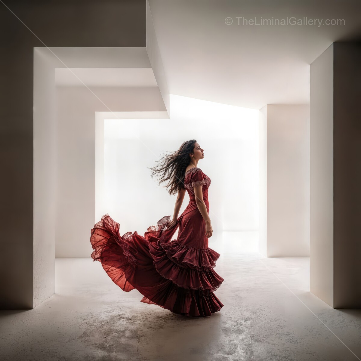 Flamenco dancer moving gracefully in a liminal space of light and shadow