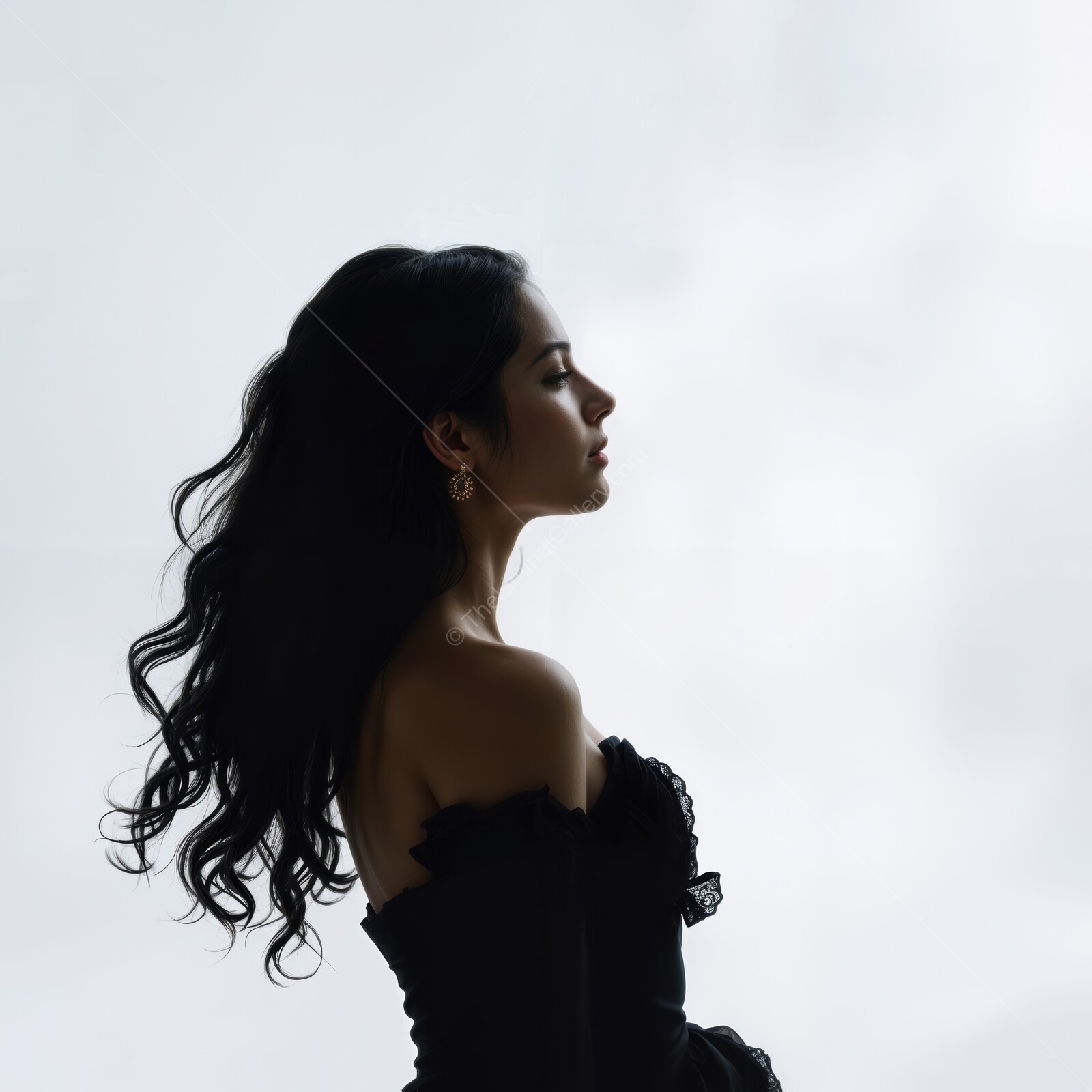 Elegant silhouette of a woman in black attire against a soft, clouded backdrop