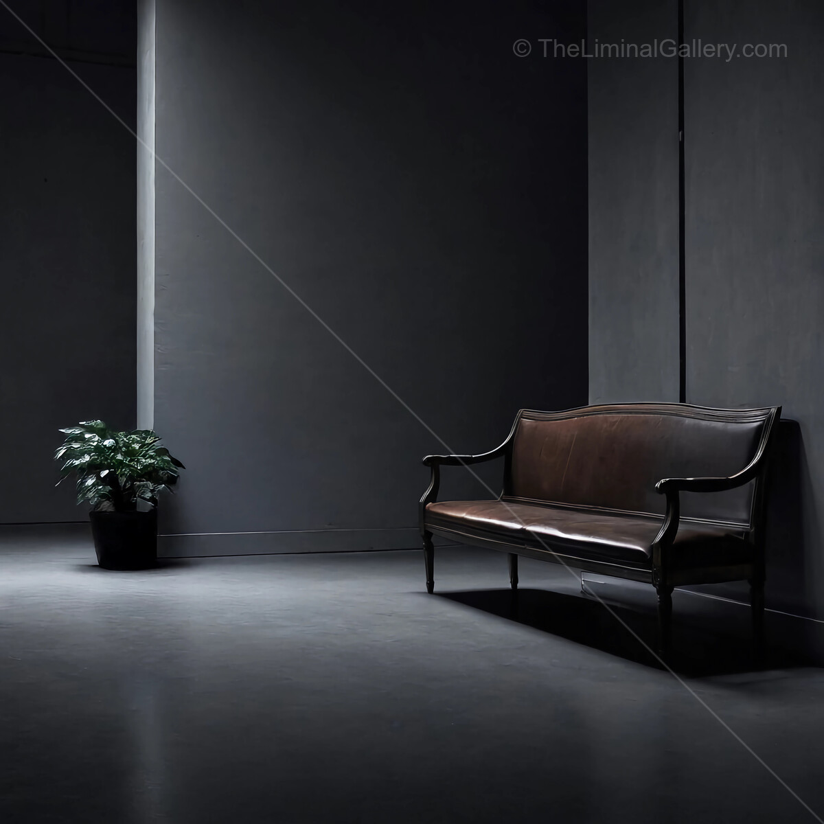 Elegant dark interior with a solitary leather sofa and a touch of greenery by a wall