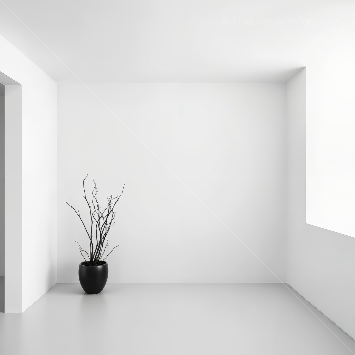 Minimalist liminal interior design highlights elegant plant in a sleek modern space at midday