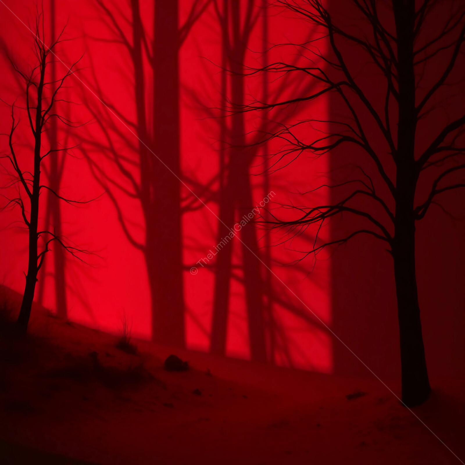 Shadows of dark trees painted on crimson canvas under a haunting twilight glow
