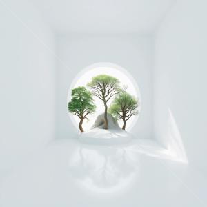 Explore a serene liminal sanctuary with trees framed in a minimalist space filled with light