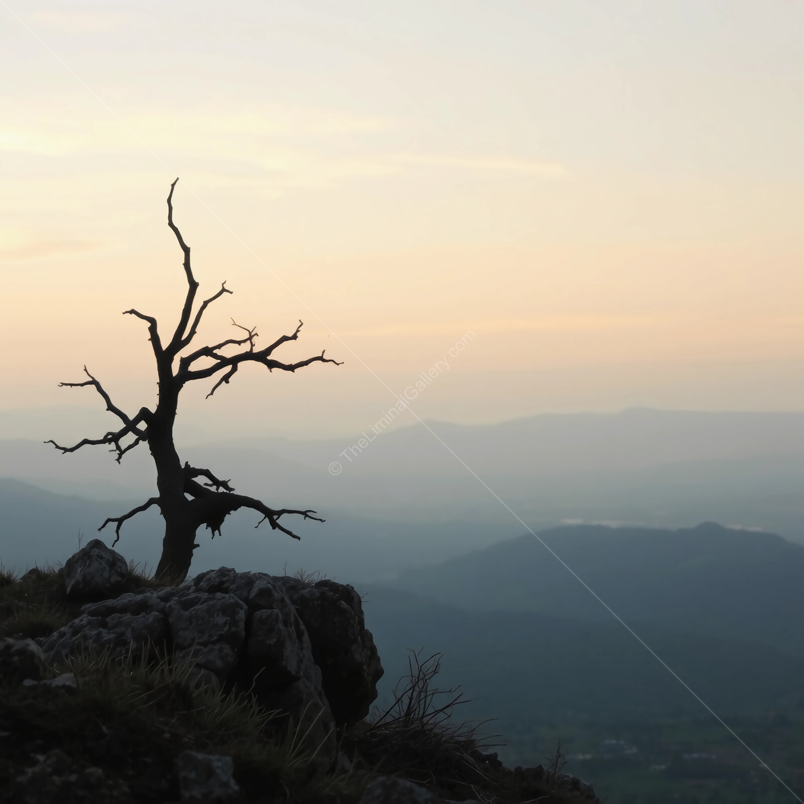 Dramatic silhouette of a barren tree against a tranquil sunset in the mountains