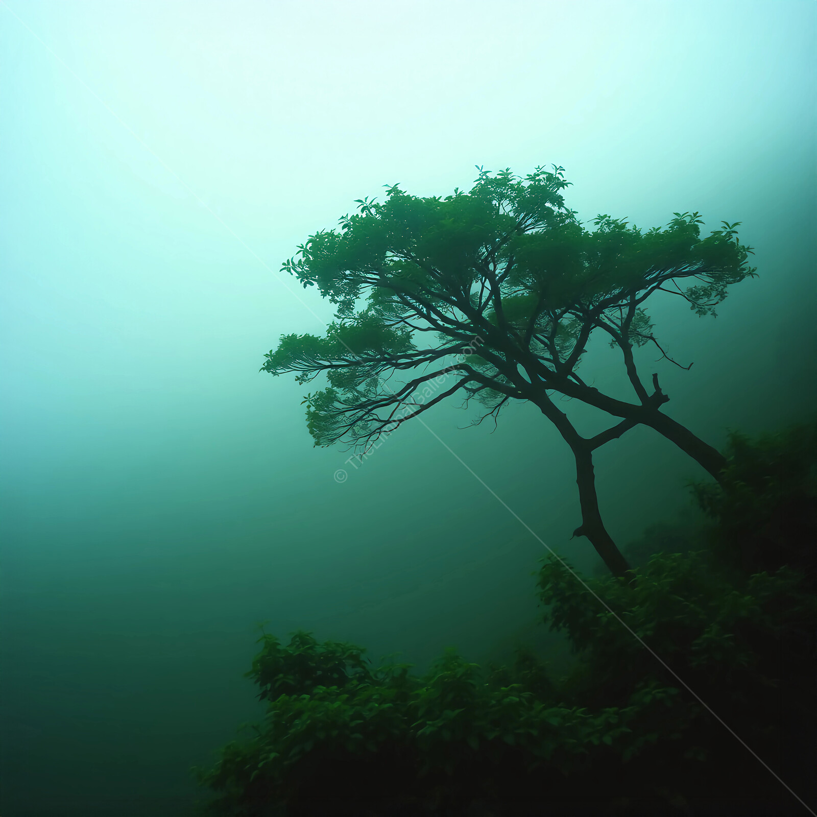 Mysterious fog envelops a solitary tree standing proudly against a greenish backdrop