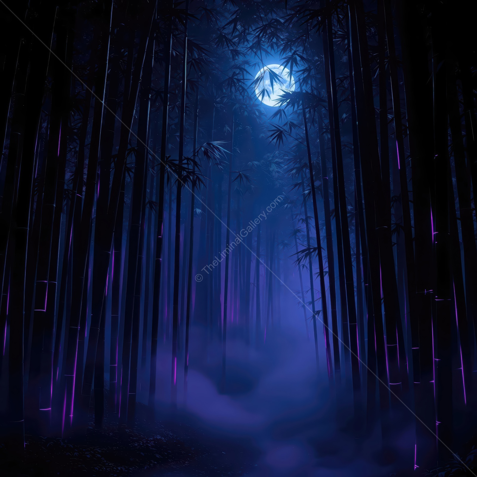 Mysterious bamboo forest illuminated by moonlight and fog at dusk