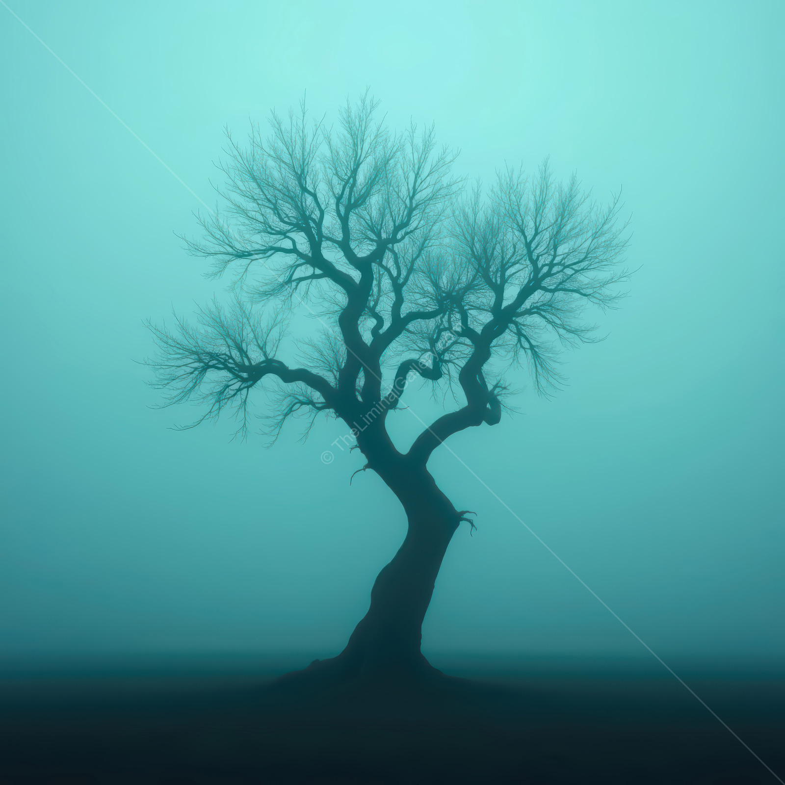 Eerie silhouette of a twisted tree standing alone in a foggy landscape at dawn