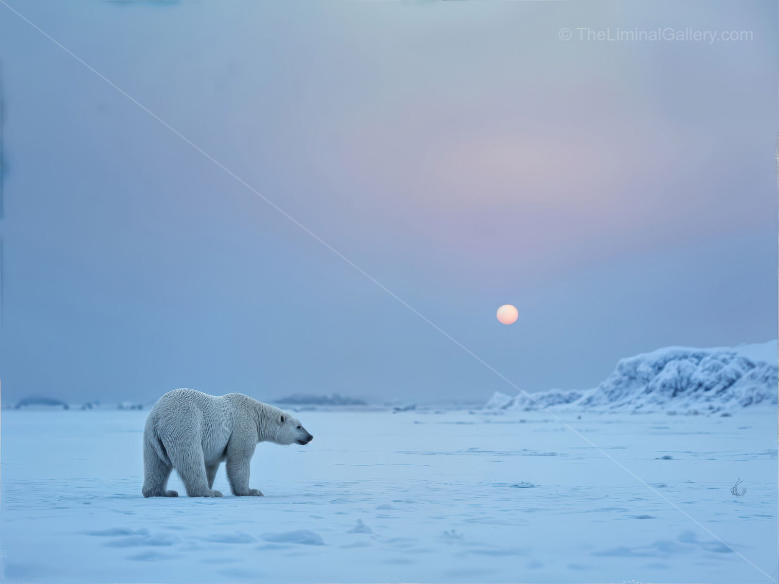 Polar bear wanders through a vast icy landscape at dusk under a pastel sky
