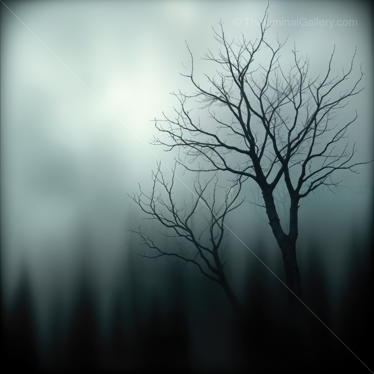 Dark and mysterious silhouette of a solitary tree in a foggy forest at dawn