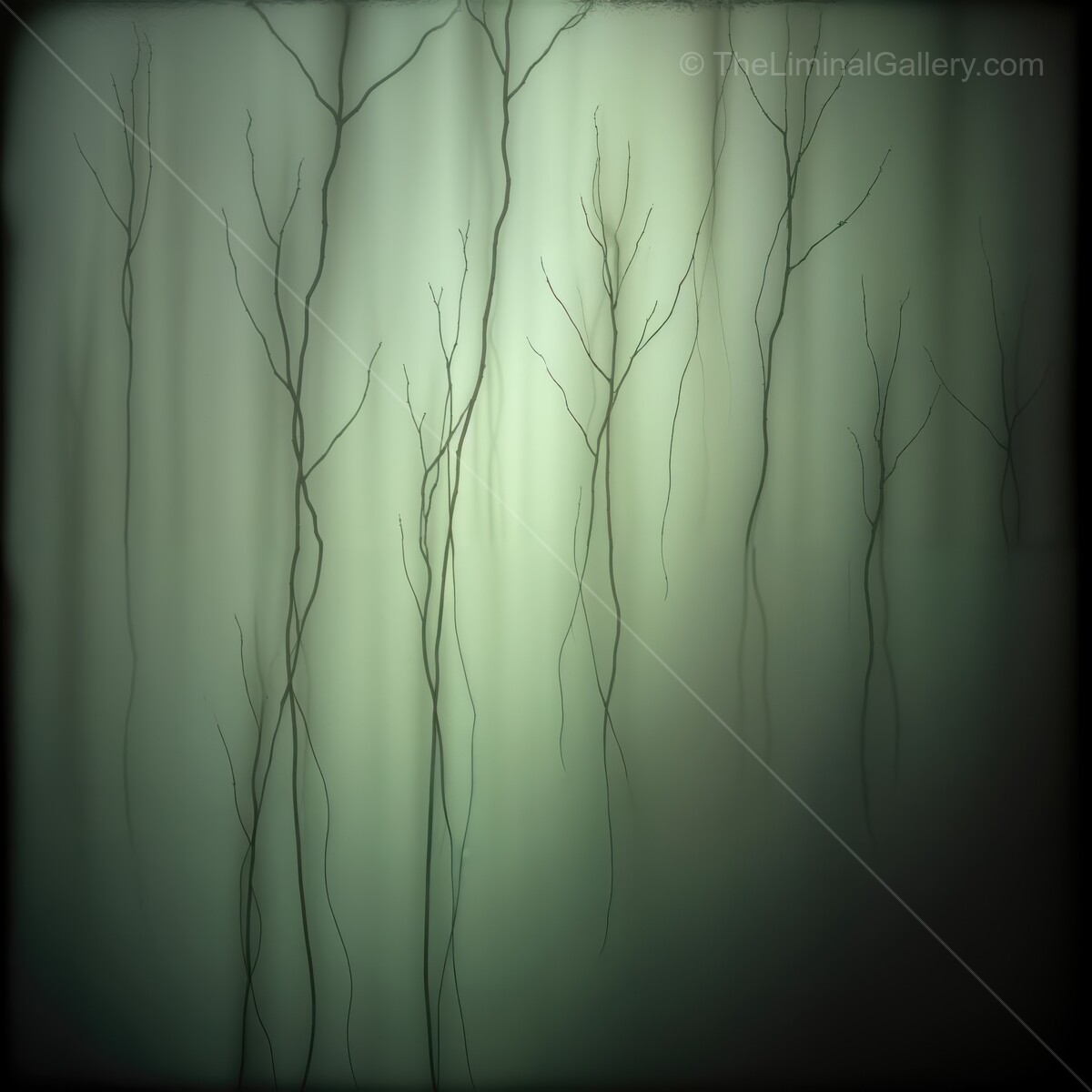 Ethereal forest with delicate branches casting shadows in soft green light