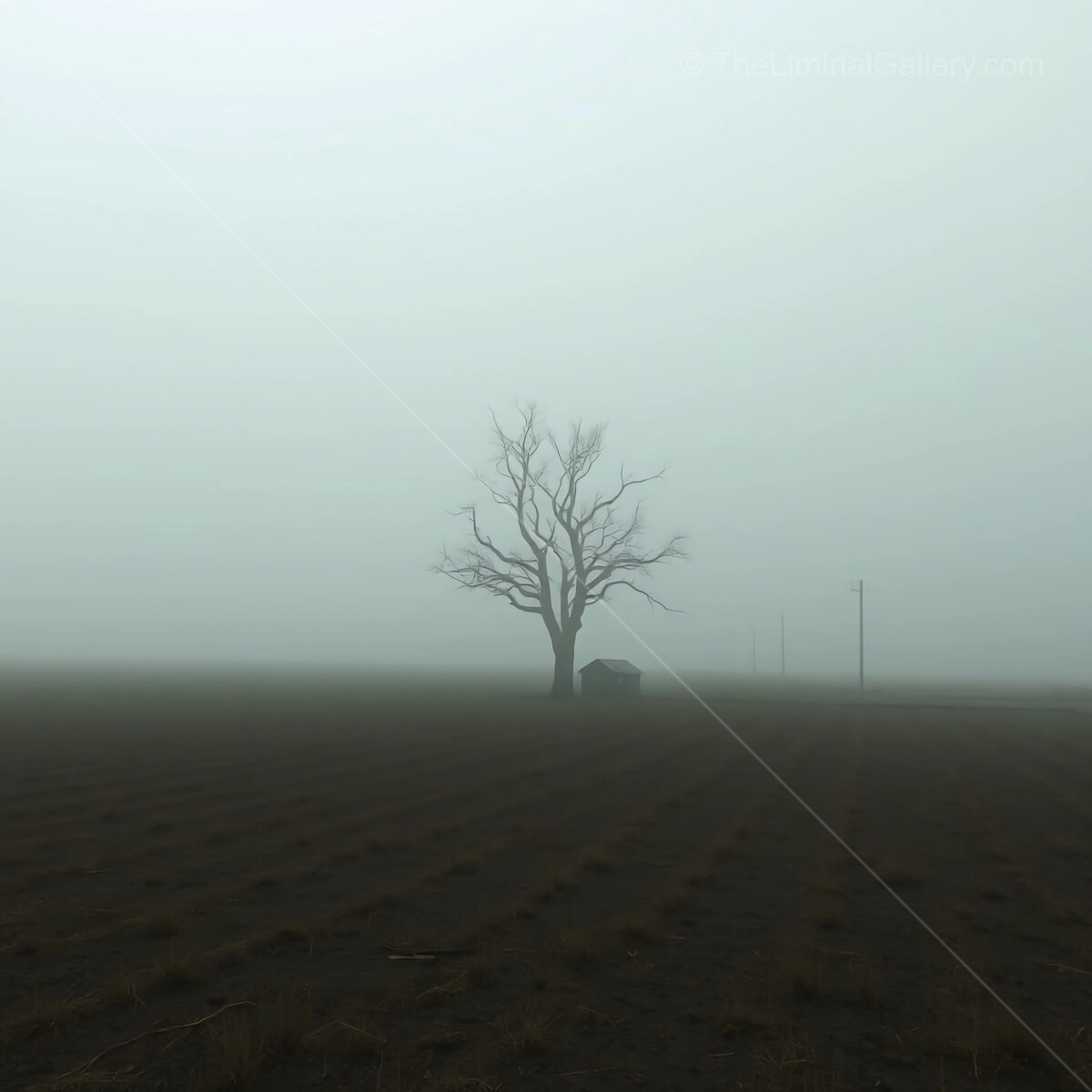 Lonely tree standing tall in a foggy landscape at dawn in the countryside