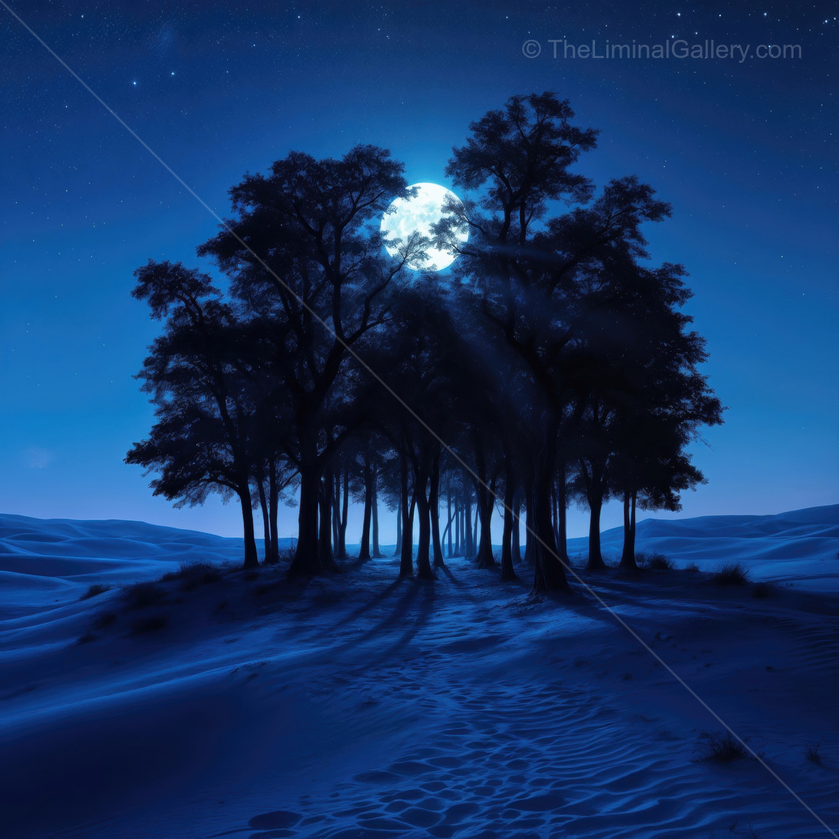 Moonlit grove encircled by mystic shadows during twilight, inviting exploration and wonder amid serene beauty