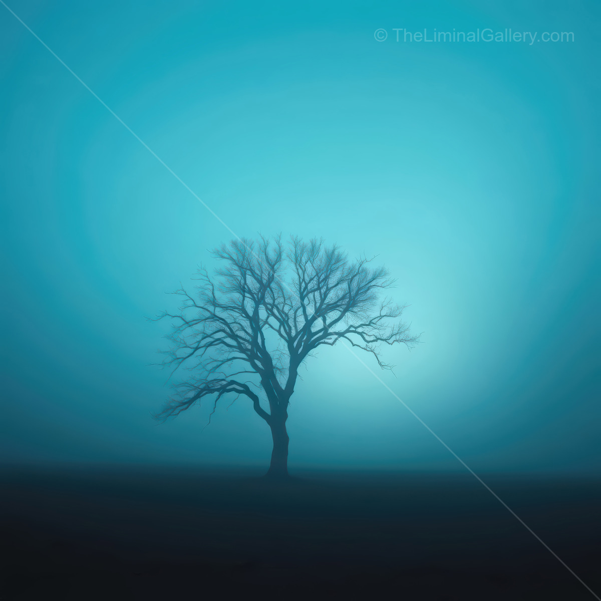 Mystical silhouette of a solitary tree in a foggy landscape at twilight