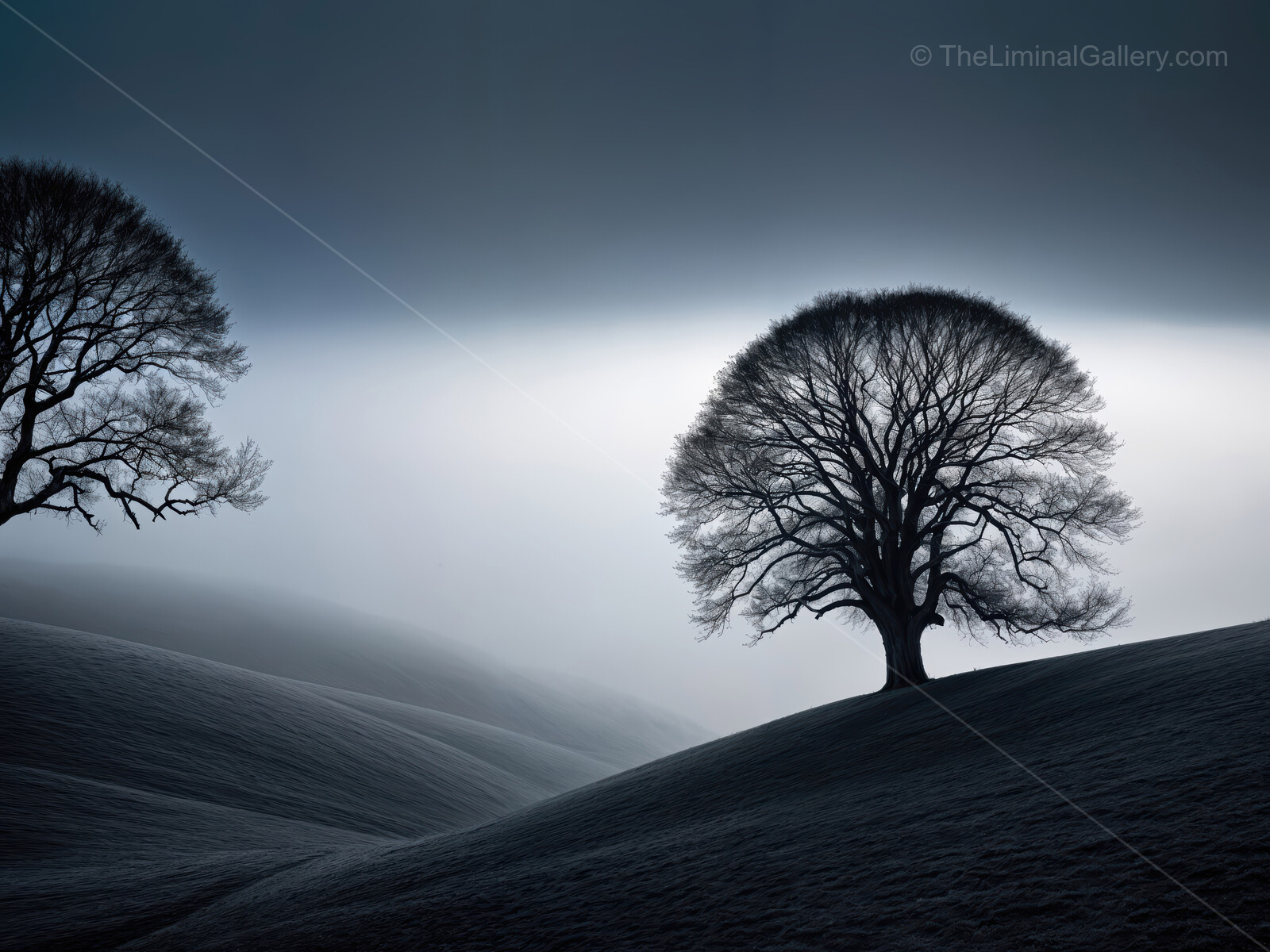 Mysterious silhouettes of trees on rolling hills under a misty twilight sky