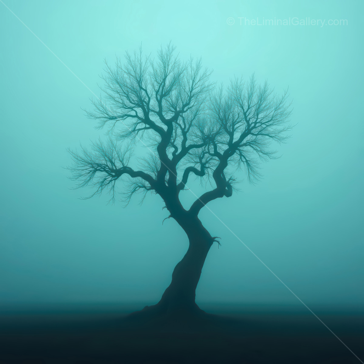 Eerie silhouette of a twisted tree standing alone in a foggy landscape at dawn
