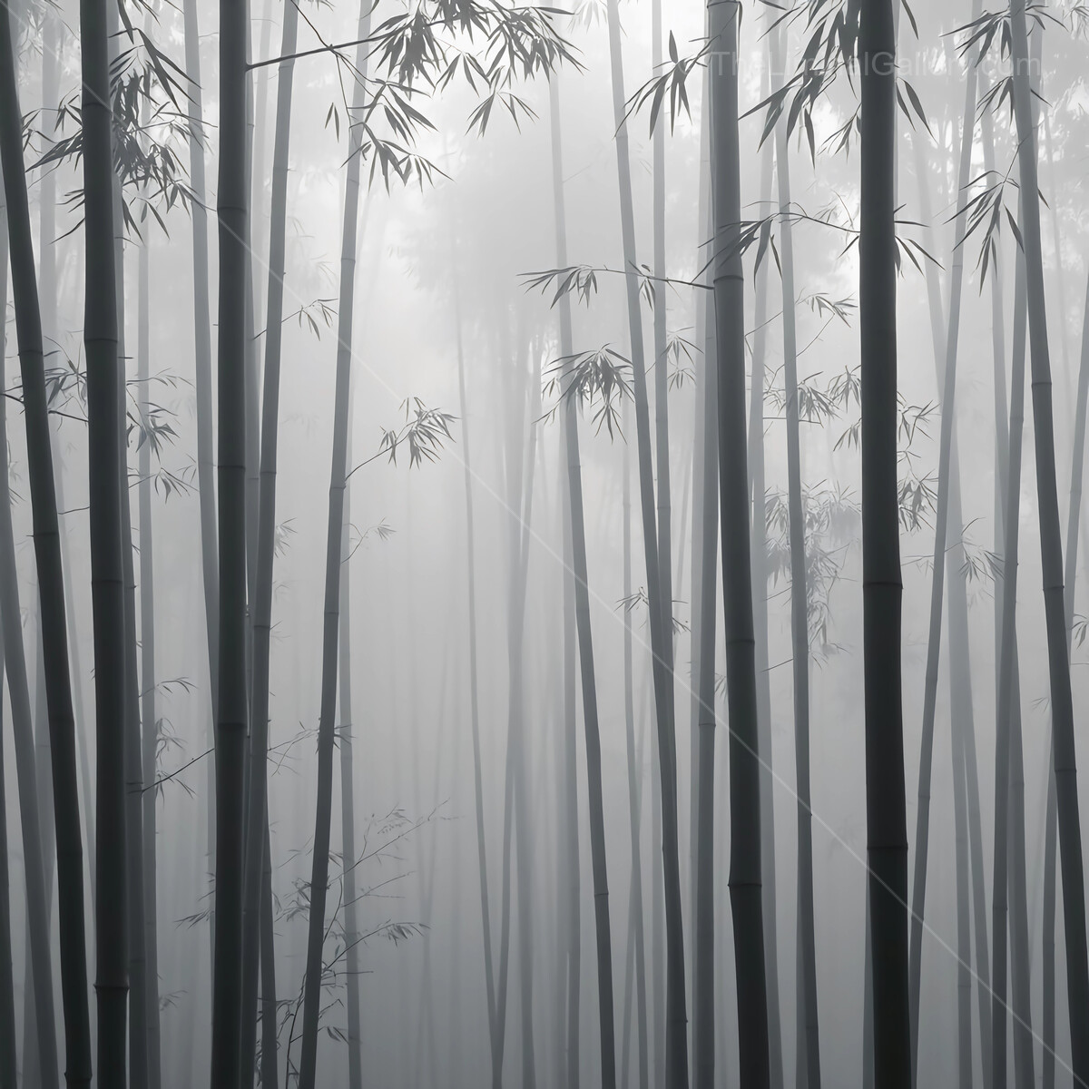 Mysterious bamboo grove shrouded in mist creates a tranquil atmosphere for reflection and exploration
