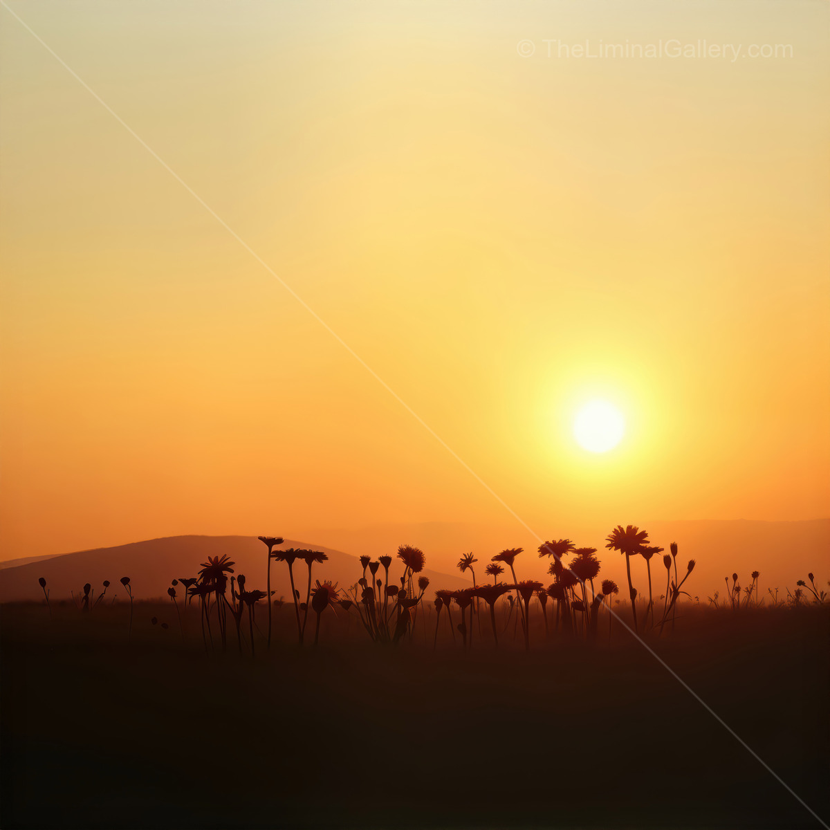 Golden sunset casts warm light over silhouettes of palm trees on a tranquil evening in the countryside
