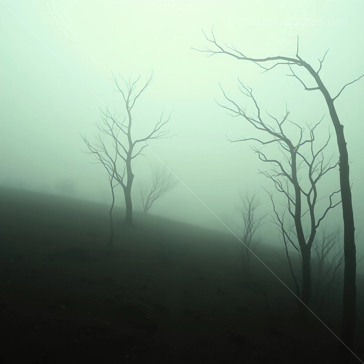 Lonely trees rise through the thick mist on a moody morning in a secluded landscape