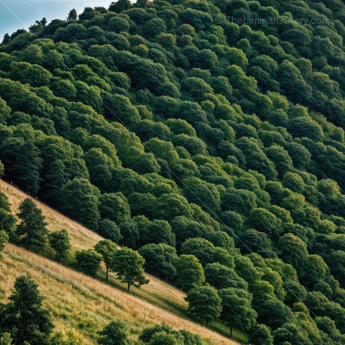 Lush green hills rolling under a clear blue sky in a serene landscape at an idyllic location