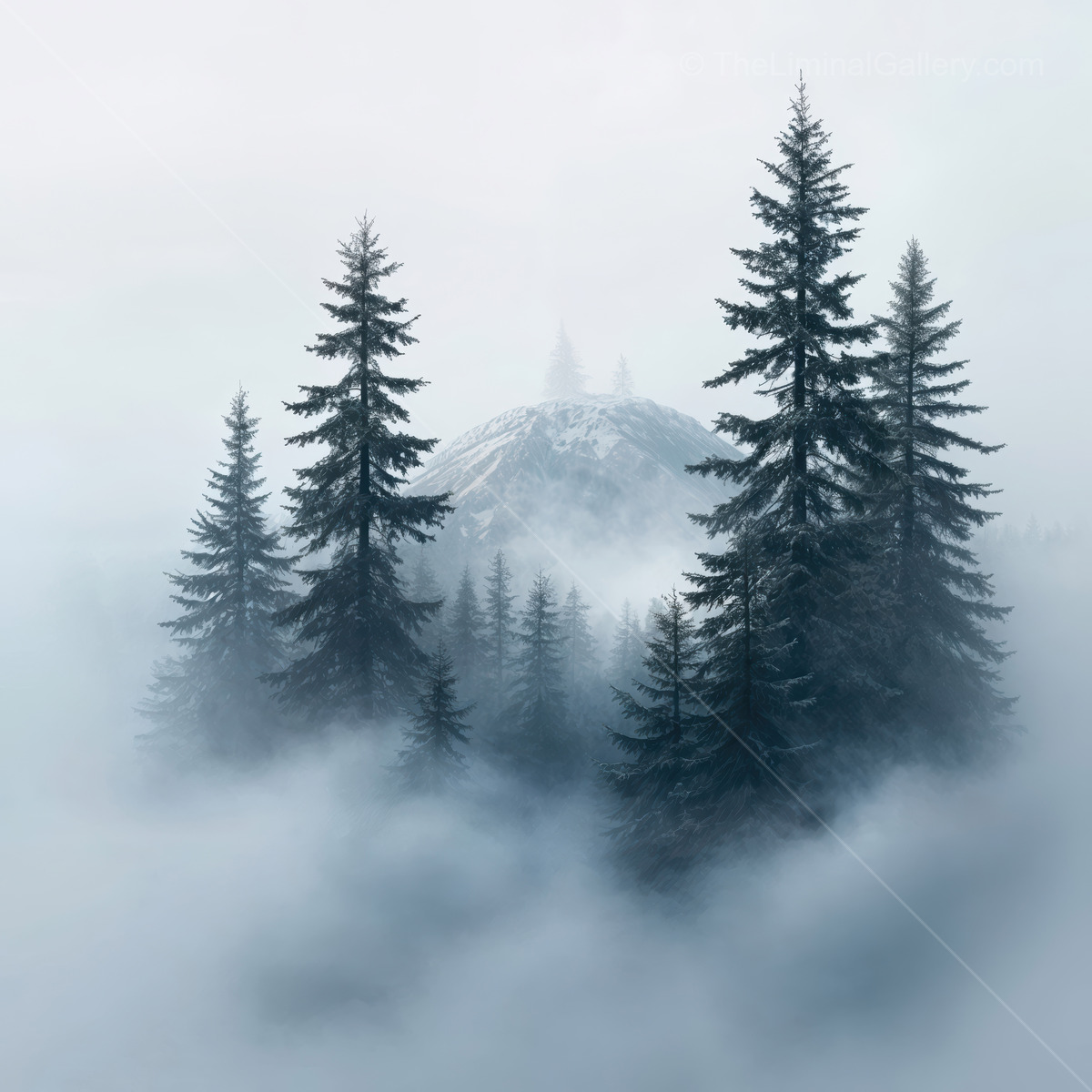 Misty forest landscape revealing a hidden mountain surrounded by towering evergreens