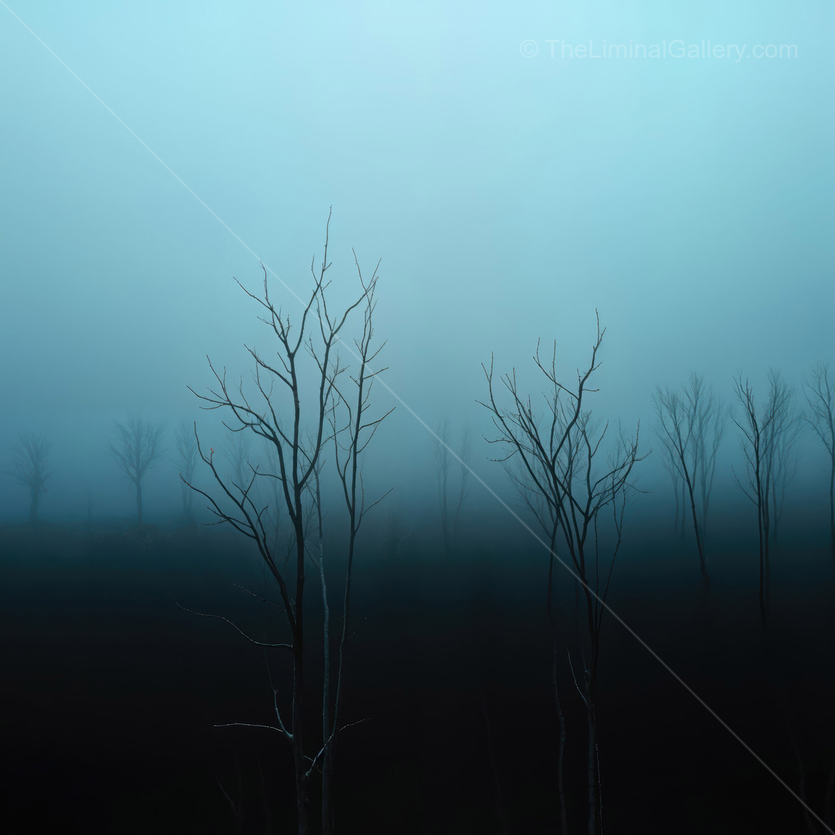 Mysterious silhouettes rise from the fog in a serene and tranquil landscape at dawn