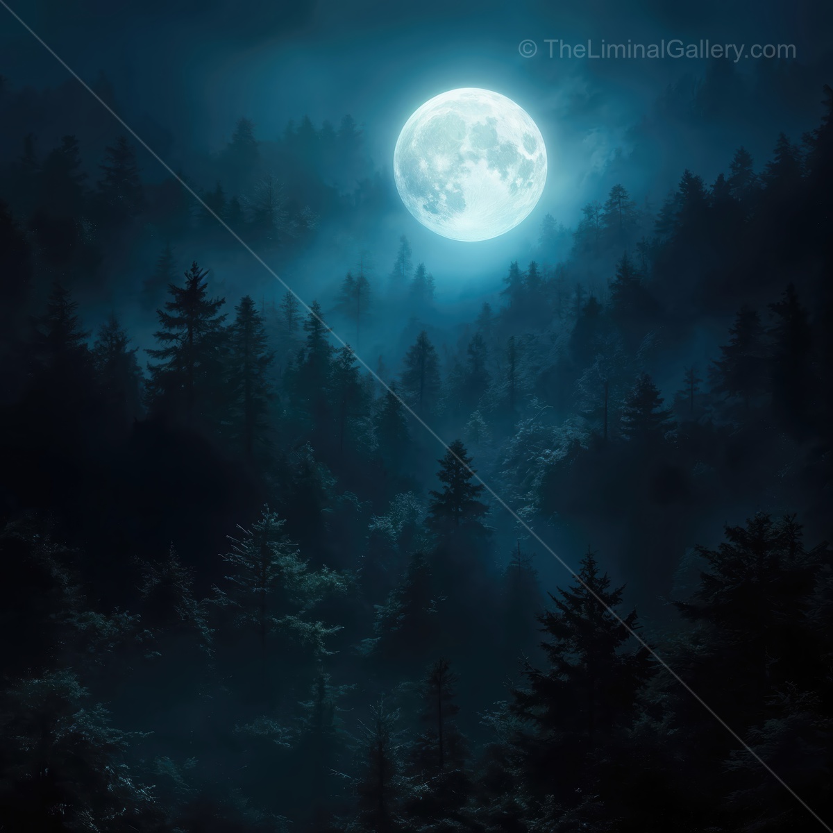 Silent woods bathed in moonlight glow, revealing nature's hidden beauty at night