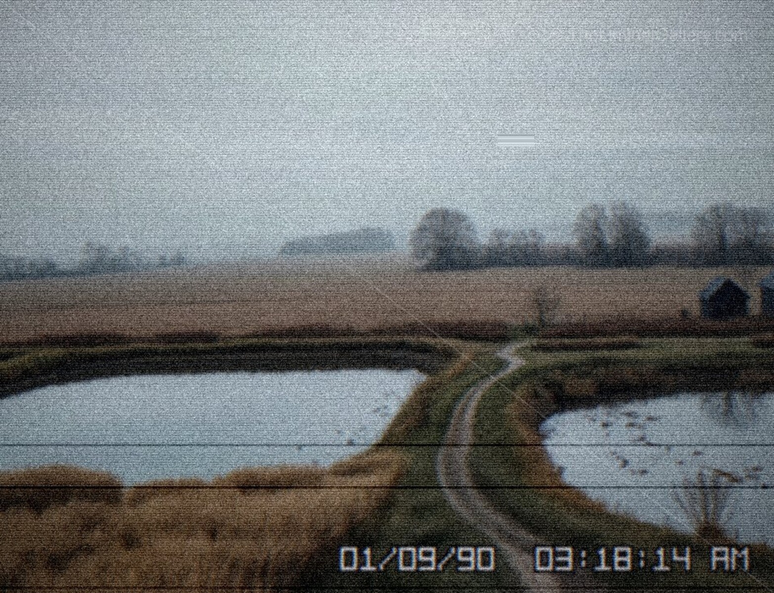 The endless fields of gold stretch out towards a hazy horizon, a deceptive landscape of Level 10.