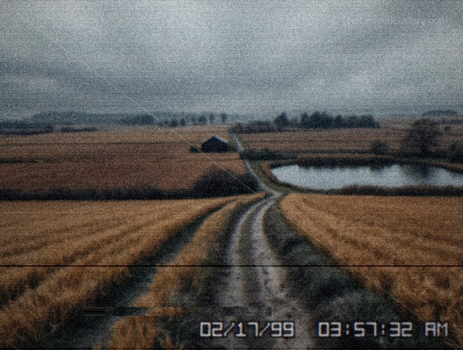 Golden fields stretch endlessly in Level 10, The Bumper Crop, blending rural dreamscapes with liminal unease.