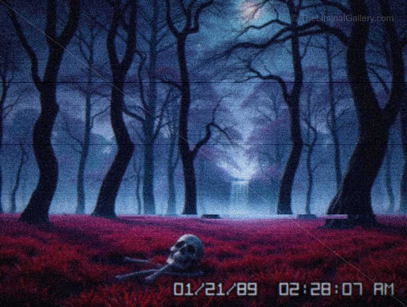 The contrast between the beauty and the unease creates a chilling atmosphere in Level 14.