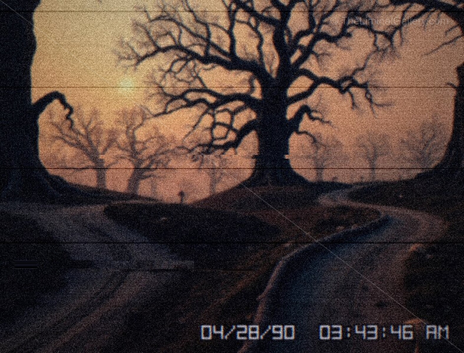 The mystical beauty of Level 39 is offset by a sense of unease and solitude.