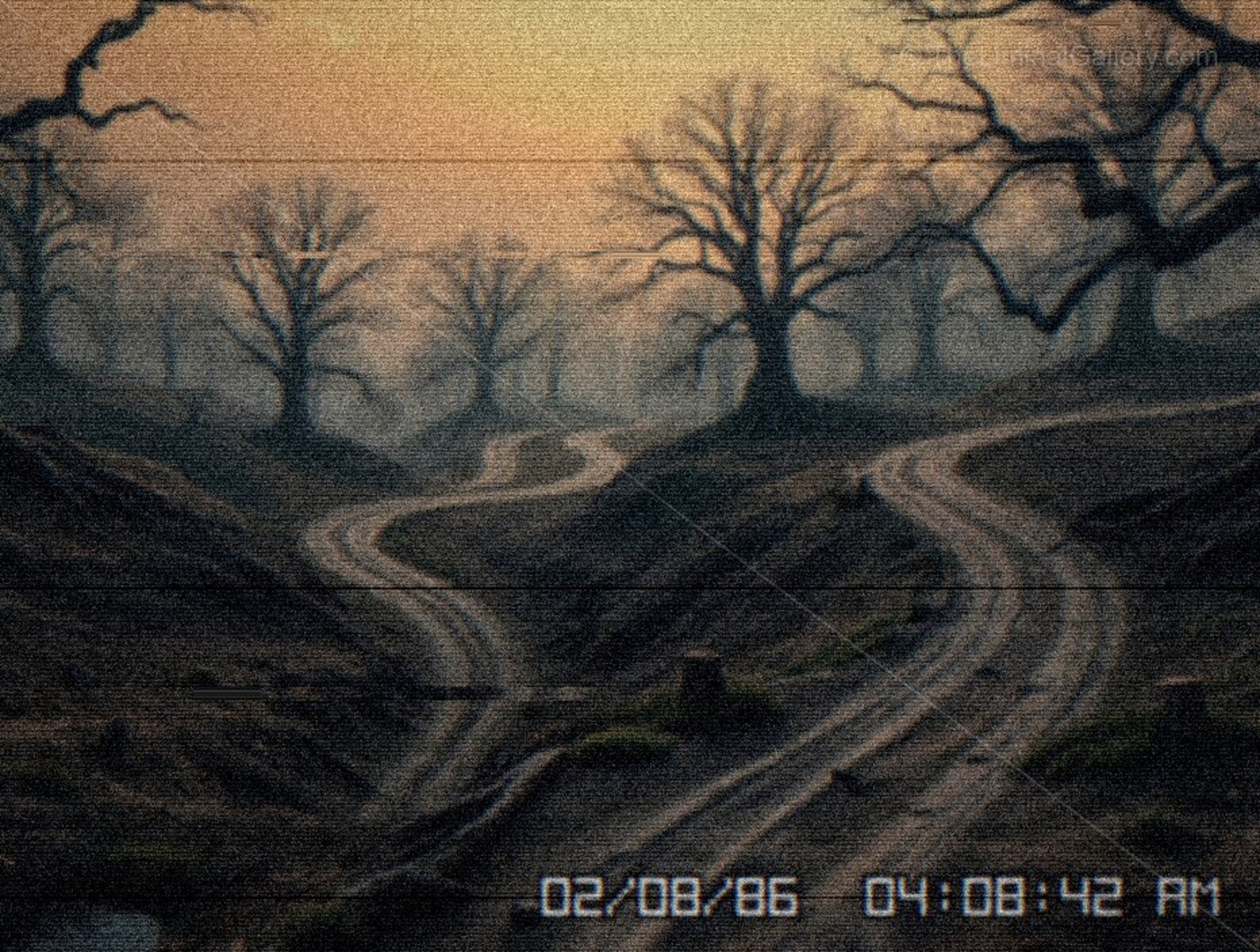 The dim lighting and unfamiliar trees create a sense of mystery and unease.