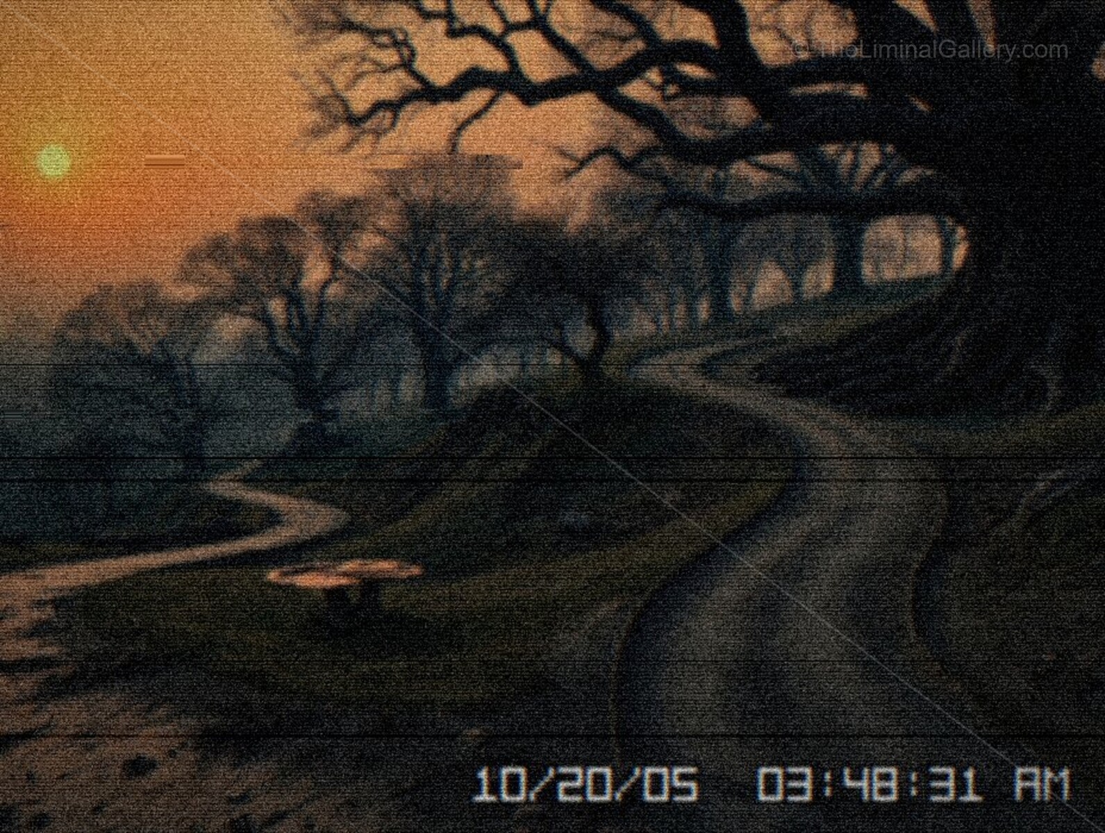 The enchanted forest creates a feeling of being lost in a dream.